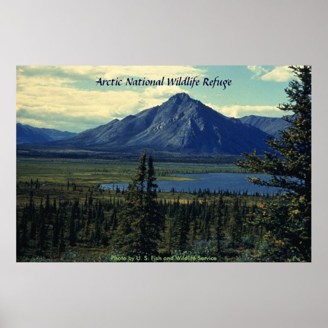 Poster / Arctic National Wildlife Refuge (Front)
