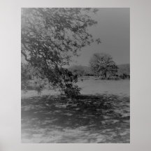 POSTER ART AND DESIGN STYLES