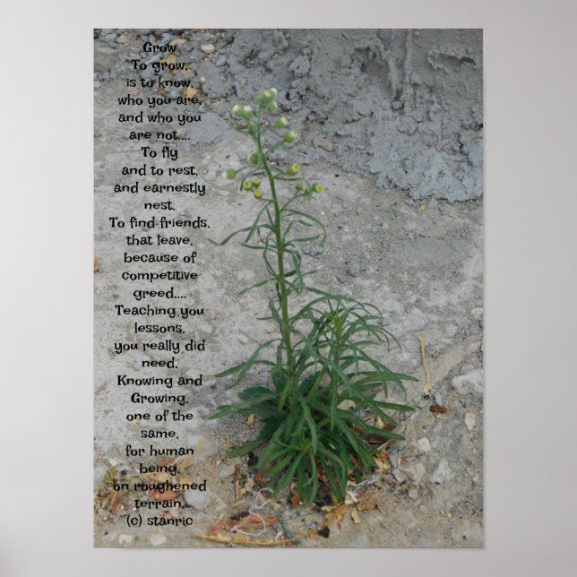 POSTER ART AND DESIGN STYLES  (Front)