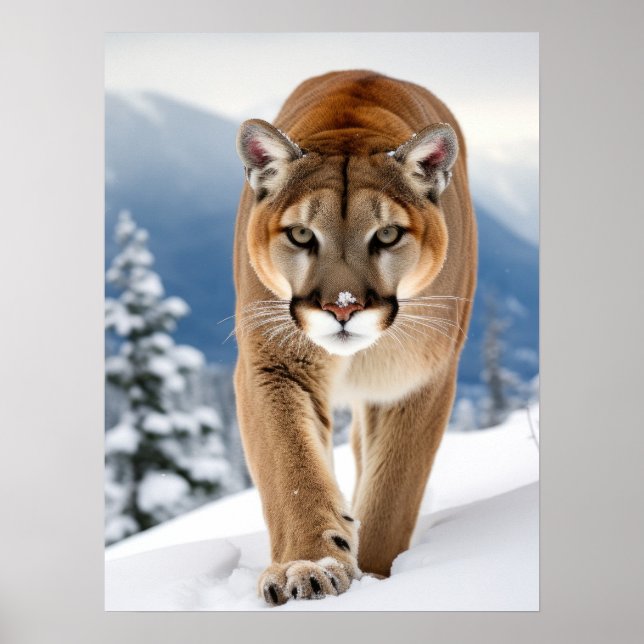Poster Art Mountain Lion (Front)