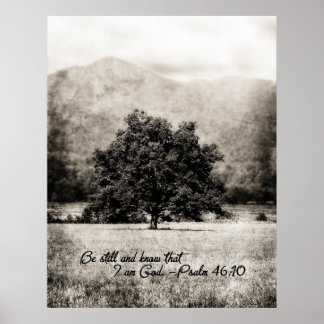 Poster-Be Still and Know that I am God Poster