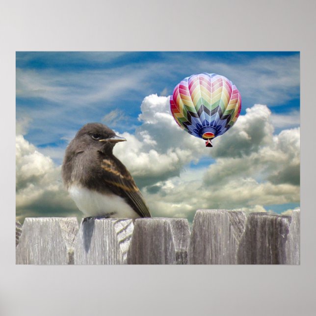 Poster - Bird and hot air balloon (Front)