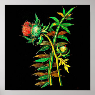 Poster-Botanical Art-Mary Delany 6 Poster