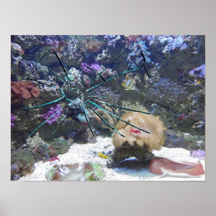 Poster “broken aquarium” of fish