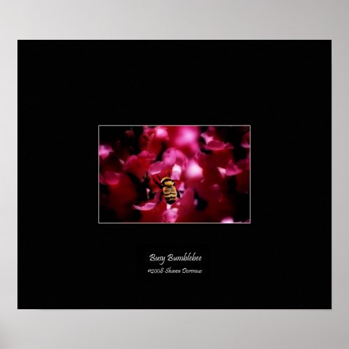 Poster Busy Bumblebee Pink Snapdragon Flowers Poster