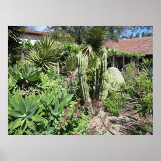 Poster: Cactus in Mission Garden, San Luis Obispo Poster