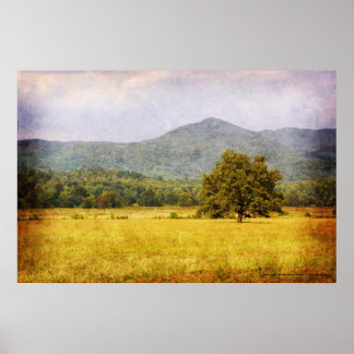 Poster - Cades Cove Tree - Great Smoky Mt. Nat'l P