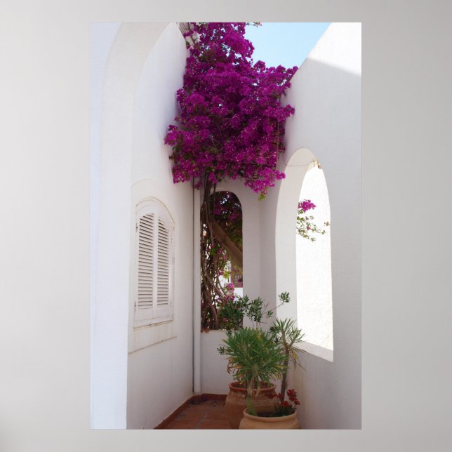 Póster casa mediterránea poster (Front)