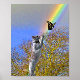 Poster - Cat Chasing Butterfly