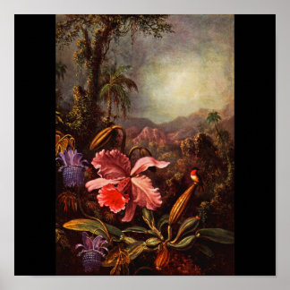 Poster-Classic/Vintage-Martin Johnson Heade 14 Poster