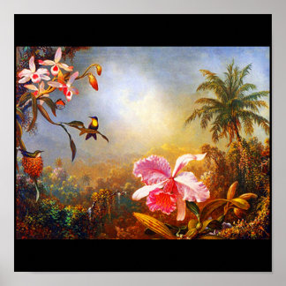 Poster-Classic/Vintage-Martin Johnson Heade 16 Poster