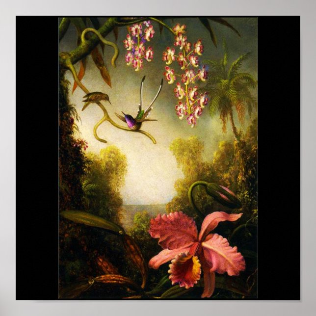 Poster-Classic/Vintage-Martin Johnson Heade 30 Poster (Front)