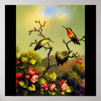 Poster-Classic/Vintage-Martin Johnson Heade 5 Poster