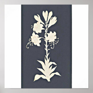 Poster-Classic/Vintage-Philipp Otto Runge 13 Poster