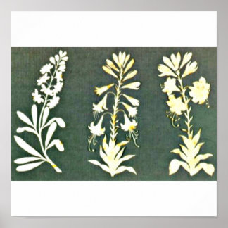 Poster-Classic/Vintage-Philipp Otto Runge 3 Poster