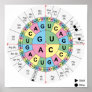 Poster Codons Amino Acids Table Genetic Code DNA
