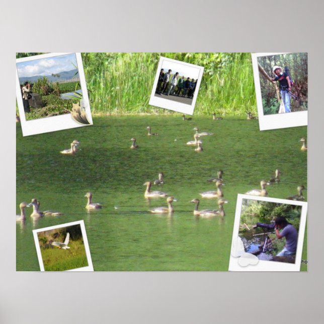 Poster Collage (Front)