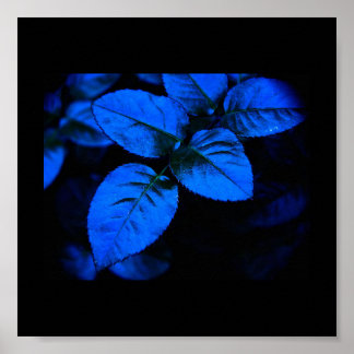 Poster-Color Therapy-Blue 7 Poster