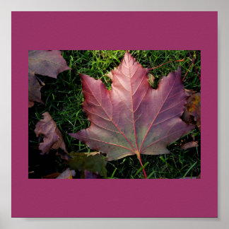 Poster-Color Therapy-Purple 20 Poster