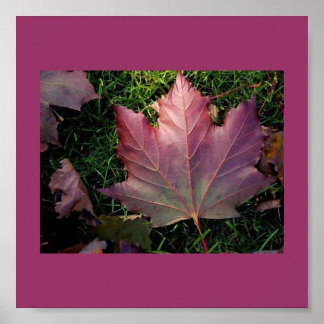 Poster-Color Therapy-Purple 20 Poster (Front)