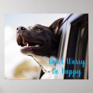 Poster-Dog Face out Car Window Don't Worry Be Poster