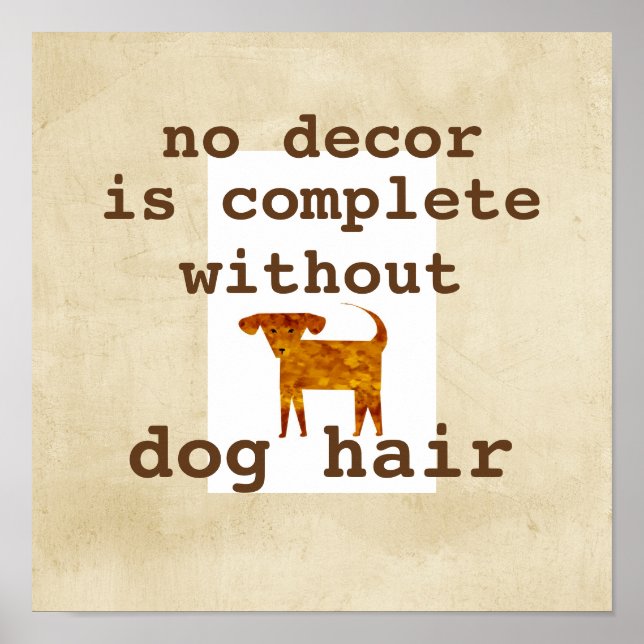 poster dog humor quote on distressed background (Front)