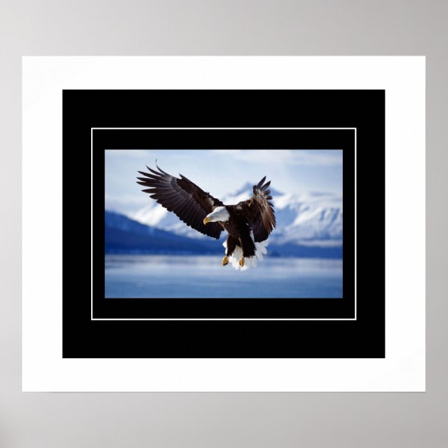 Poster-Eagle Poster (Front)