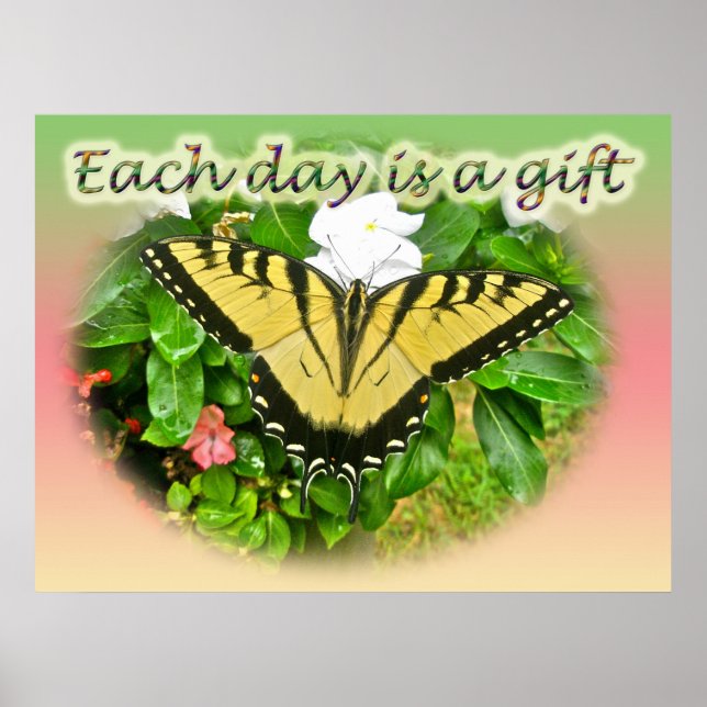 Poster Eastern Tiger Swallowtail Butterfly (Front)