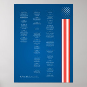 Poster Econo USA Constiution American Flag
