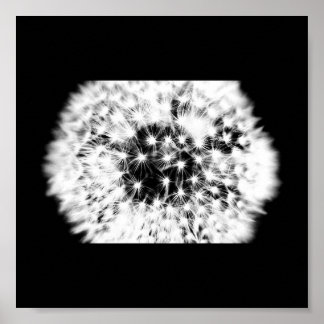 Poster-Flowers-138 Poster