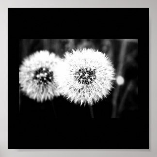 Poster-Flowers-141 Poster