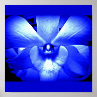 Poster-Flowers-Painted Flowers 13 Poster