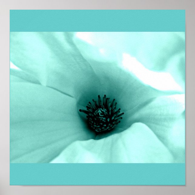 Poster-Flowers-Painted Flowers 4 Poster (Front)