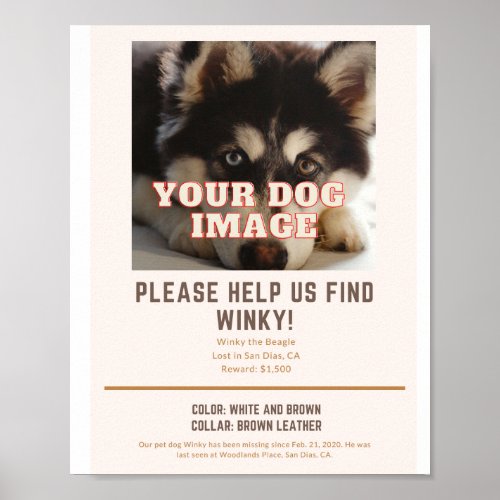 poster for your missing dog