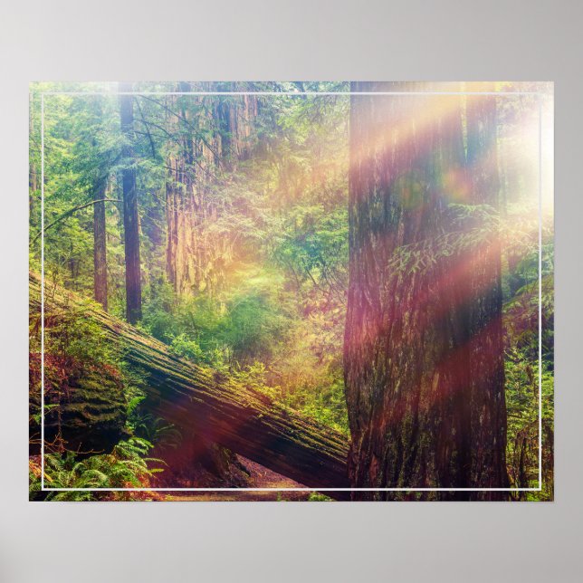 Poster-Forest Poster (Front)