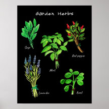 POSTER GARDEN HERBS
