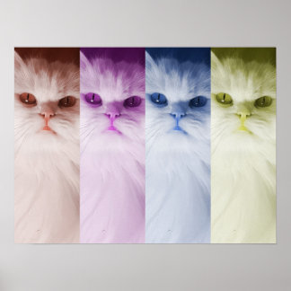 Póster gato de colores poster