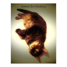 Poster - General Tso Fan Club