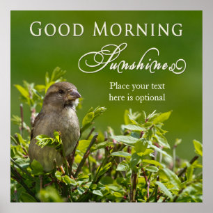 Poster - Good Morning Sunshine - Bird in Bush