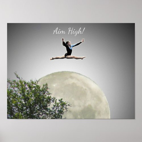 Poster _ Gymnasts Aim High