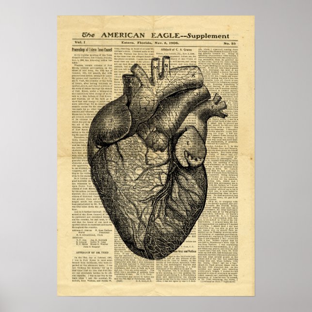 Poster Human Heart Anatomy on newspaper (Front)