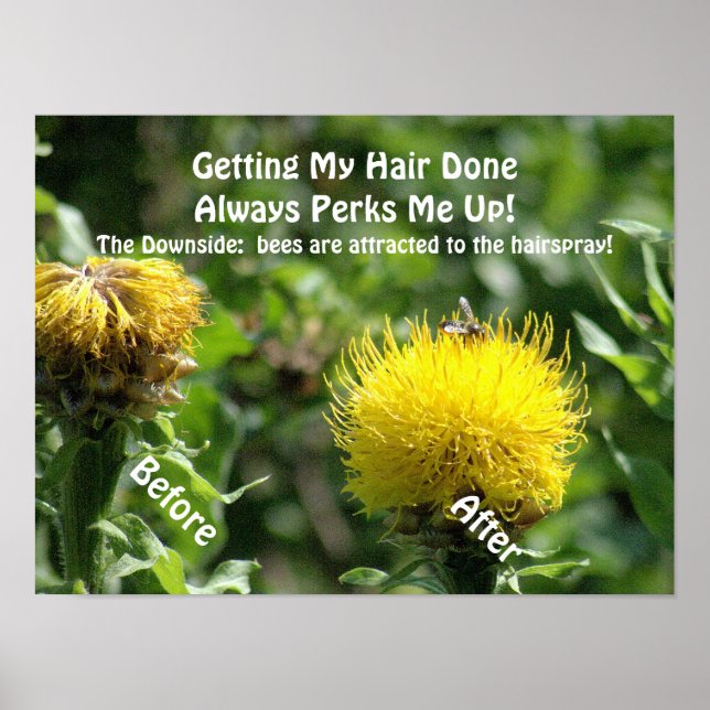 Poster, Humor, "Getting Hair Done Perks Me Up" Poster (Front)