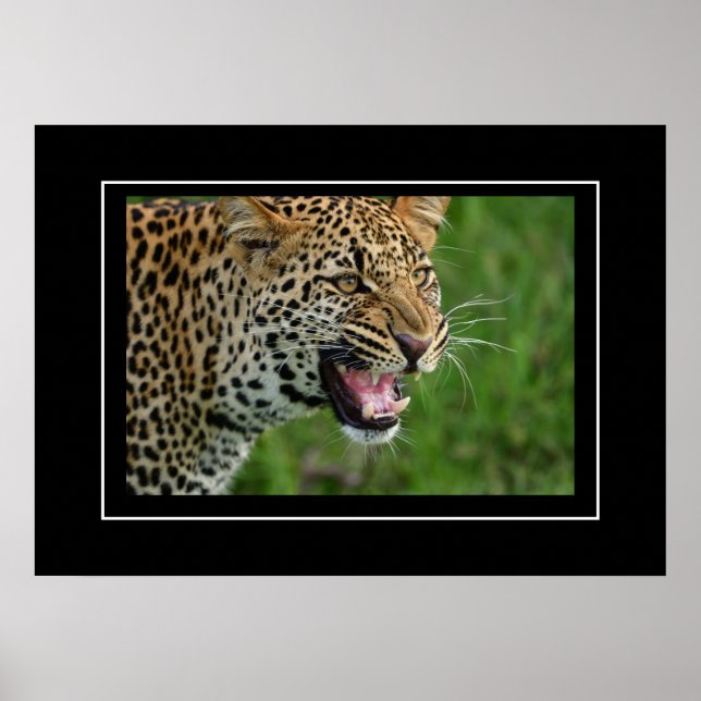 Poster Leopard (Front)