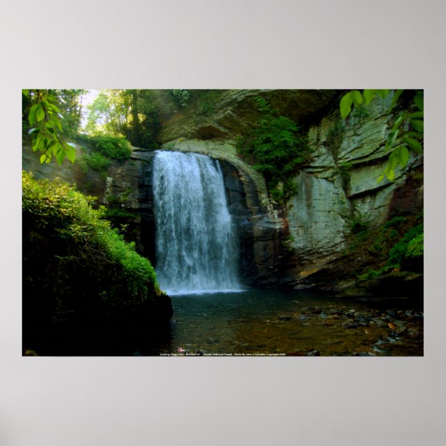 Poster Looking Glass Falls - Brevard NC - (P... (Front)