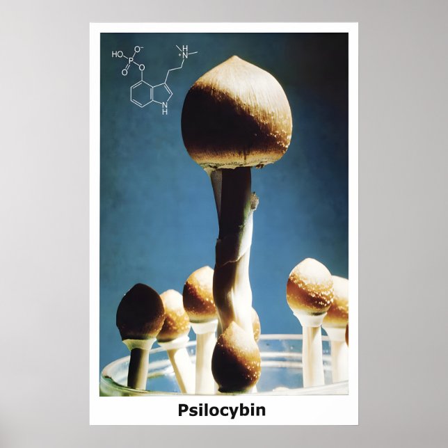 Poster Magic Mushrooms Psilocybin Chemical Formula (Front)