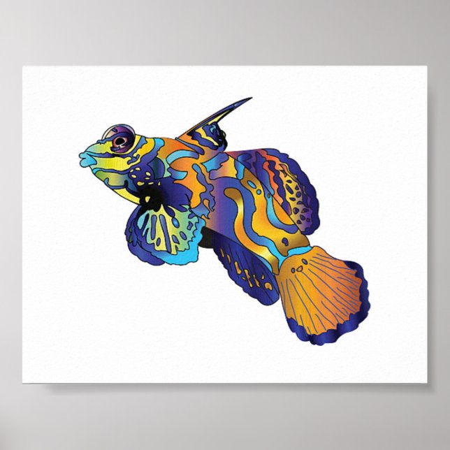 Poster - Mandarin Fish (Front)