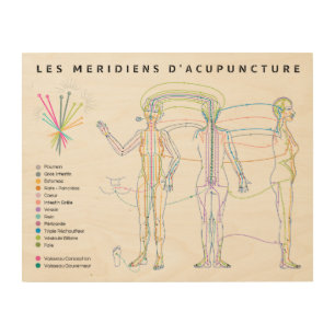 Poster Méridiens d'Acupuncture, Chinese medicine