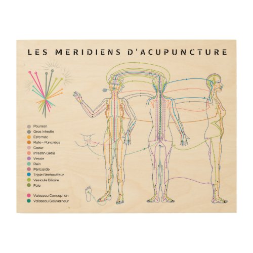 Poster Mridiens dAcupuncture Chinese medicine