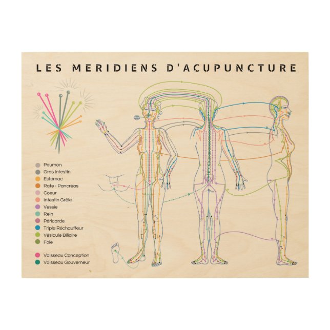 Poster Méridiens d'Acupuncture, Chinese medicine (Front)
