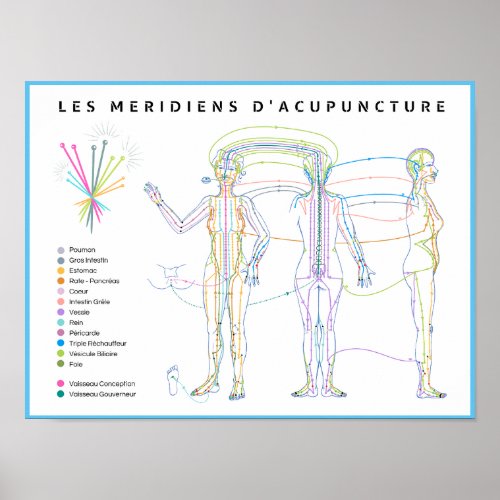 Poster Mridiens dAcupuncture mdecine chinoise